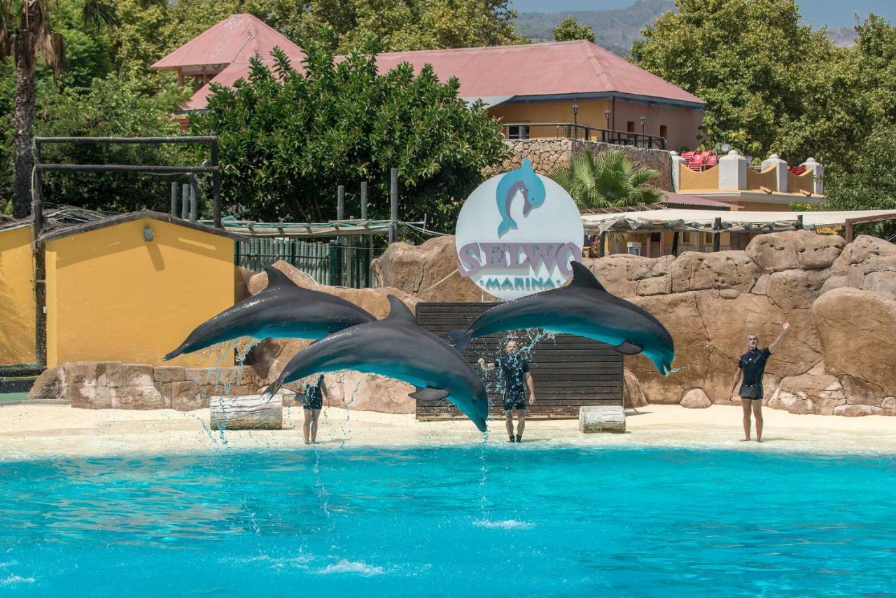 Aloha 804 Leilighet Benalmádena Eksteriør bilde